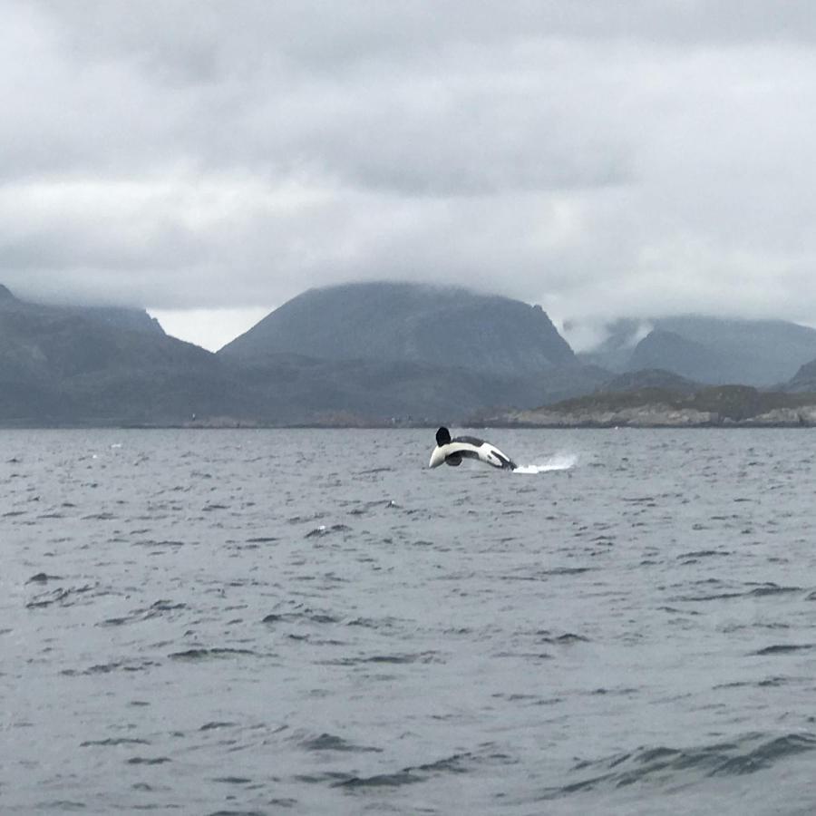 Fishermans Rorbu 1 - Lofoten ランバ エクステリア 写真